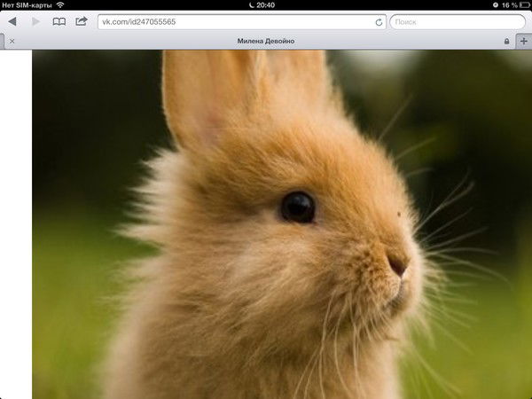 Милена Девойно