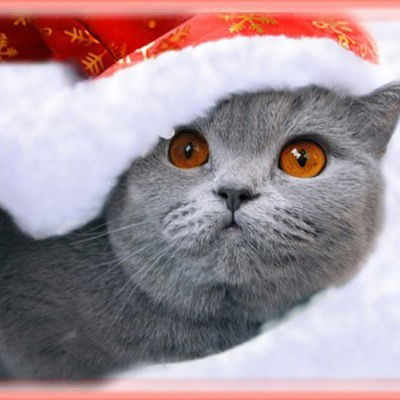 Наталия Ярош