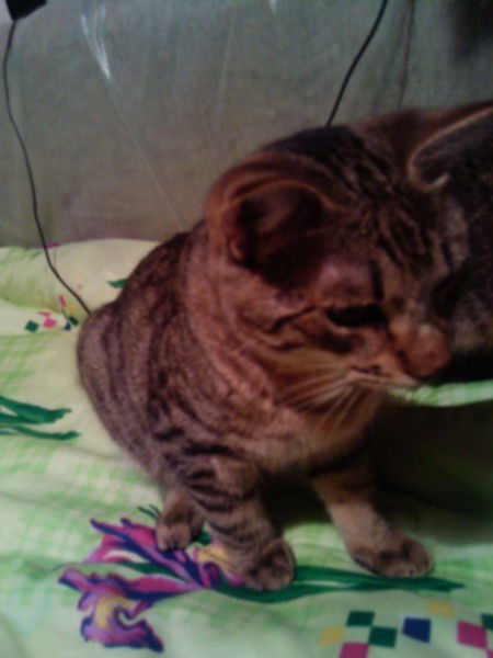 Андрей Иванов