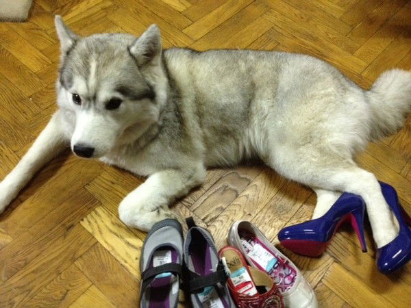 Екатерина Прокофьева