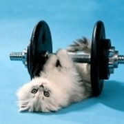 Александра Кудрина