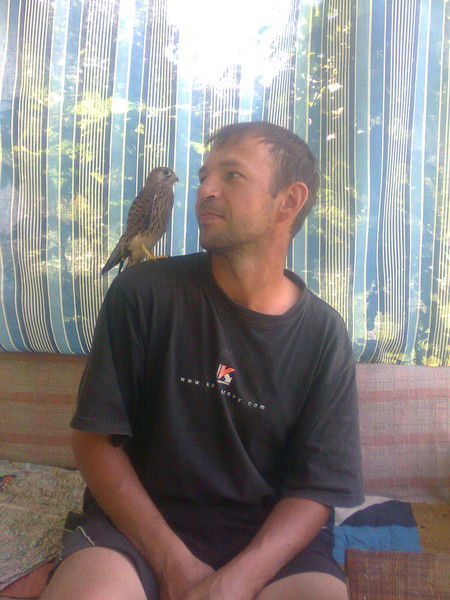 Андрей Кривоченко