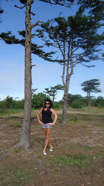 Светлана Загороднюк