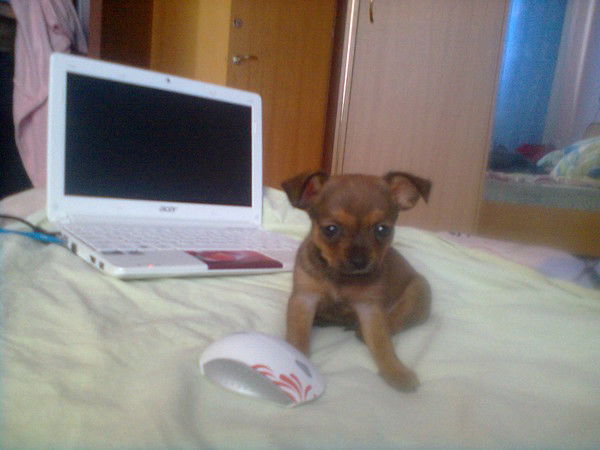 Екатерина Нестеренко