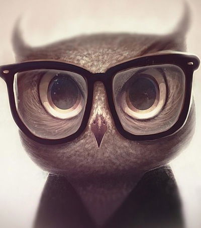 Дамир Мухутдинов