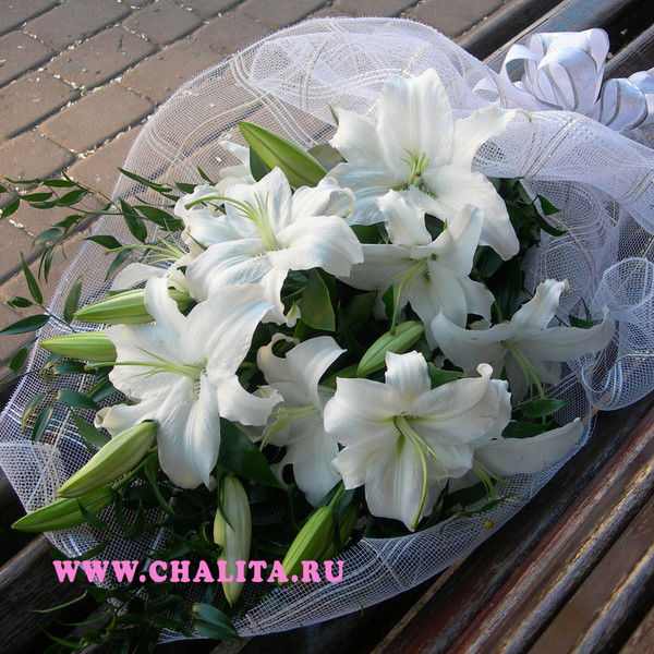 Ирина Денисова