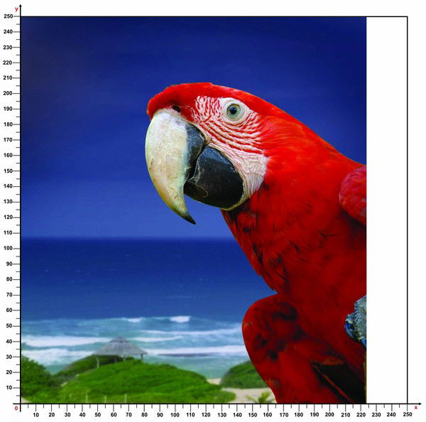 Татьяна Коваль