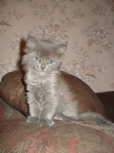 Плотникова Вера