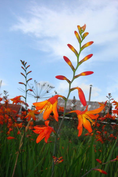 Евгения Трофимова