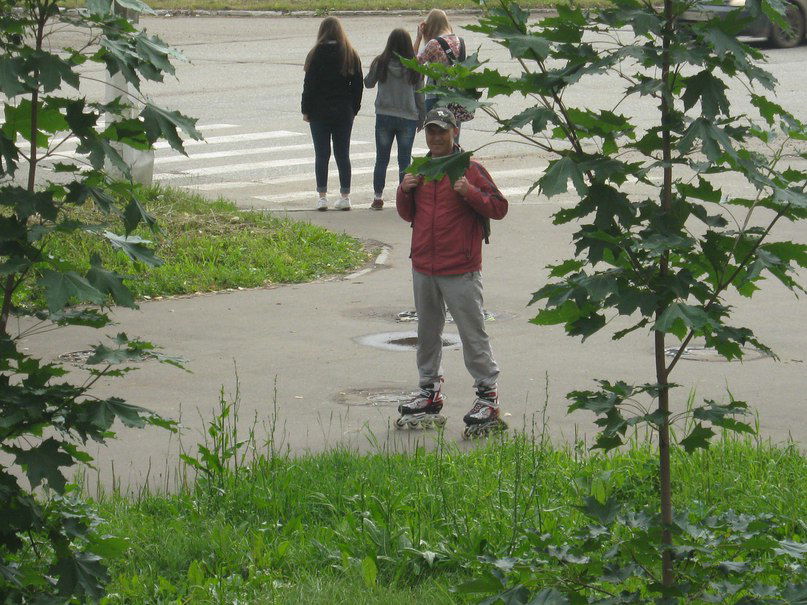 Владислав Максимов