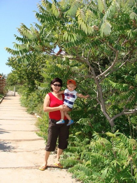 Гульшат Жакапбаева