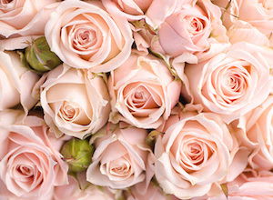 Оксана Ниненко