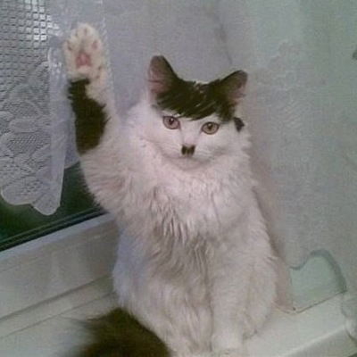 Олег Андронатий