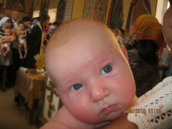 Александр Чесноков