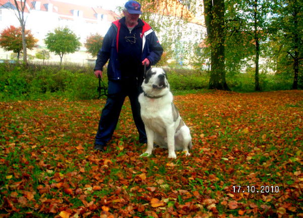 Йосиф Шустерман