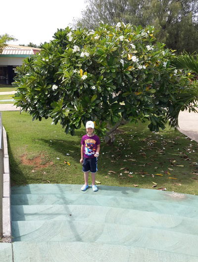 Виктор Перфильев