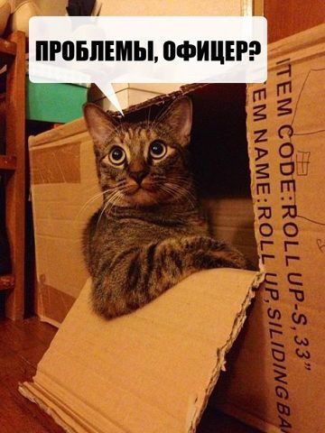 Сергей Дмитренко