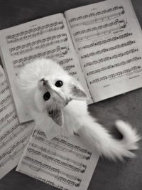 Екатерина Филина