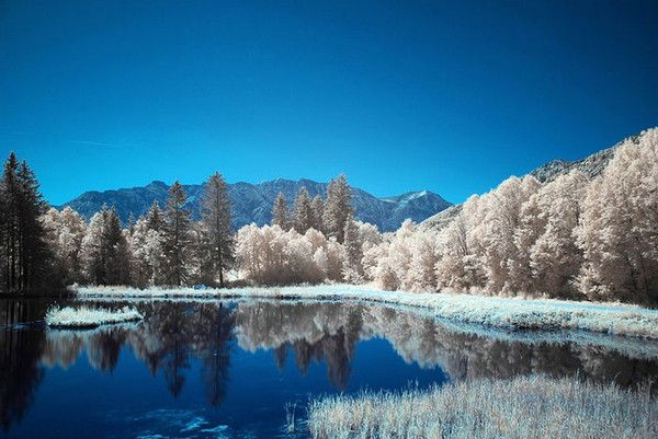 Лариса Стерхова