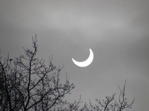 Николай Федорович