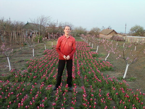 Анатолий Сырбул