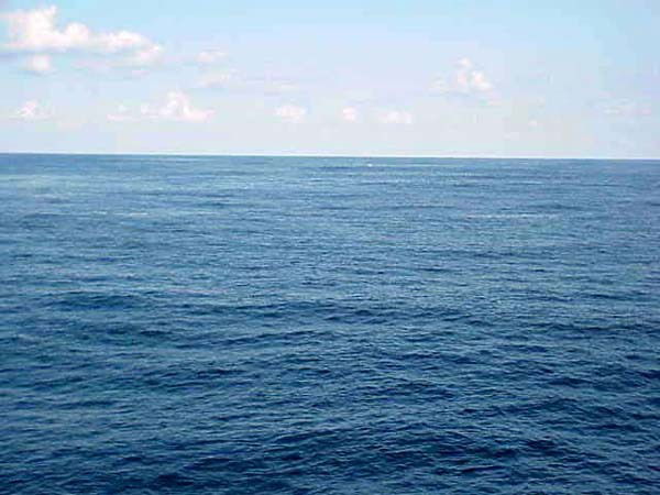 Ирина Наварич