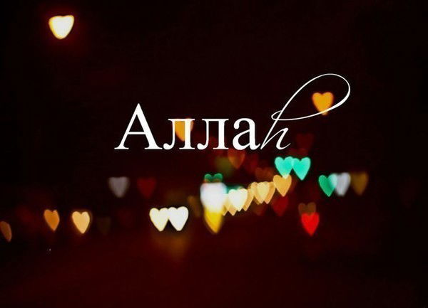 °~°°®°©° Природа