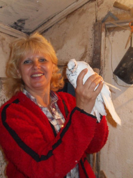 Алла Авдеева