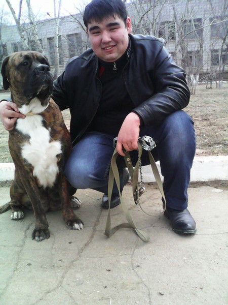 Алмас Курсанов