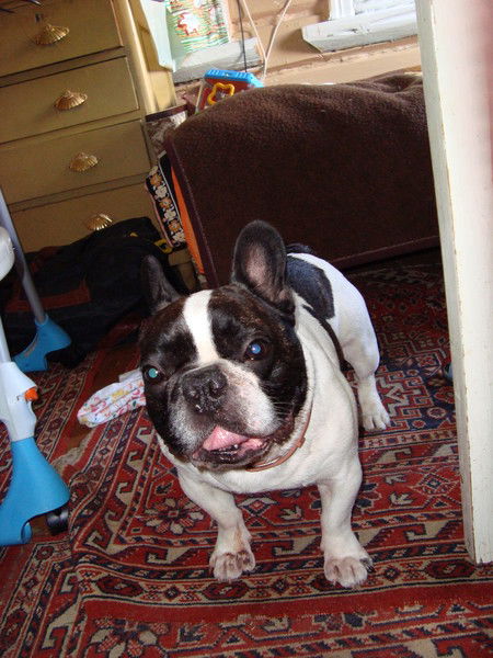 Виктор Зевакин