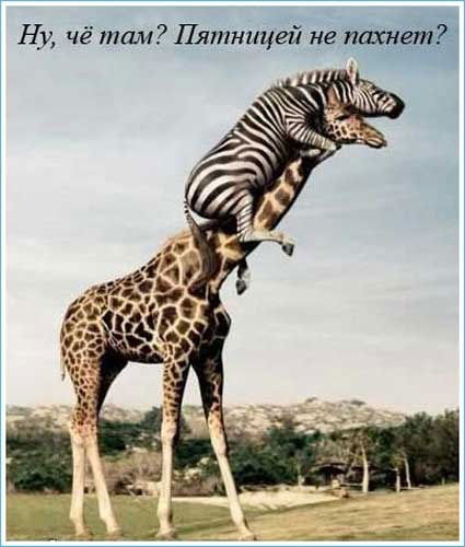 Oльга Друкер