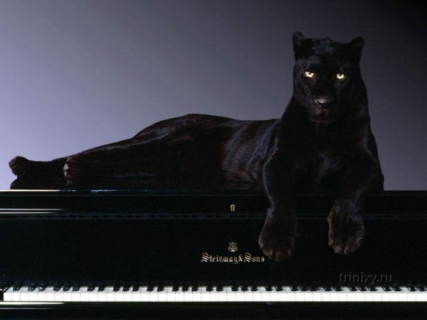 Наталья Иванова