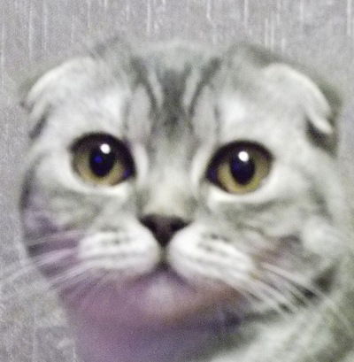 Анна Смагина