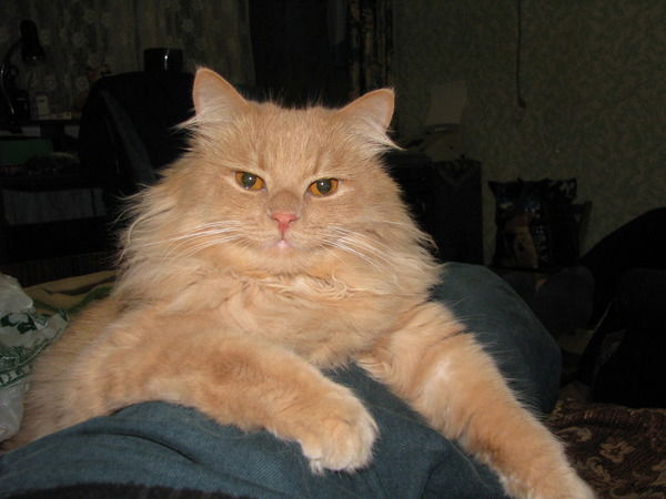 Славик Звягинцев