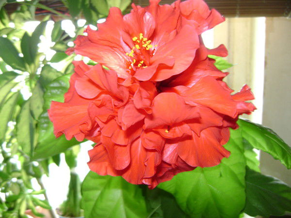 Евгений Колмыков