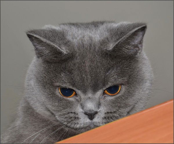 Татьяна Рыбакова