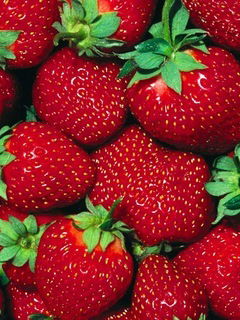 Ольга Андреева