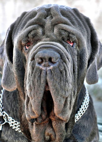 Aleksander Gerassimov