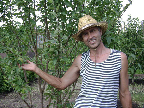 Николай Сазанов