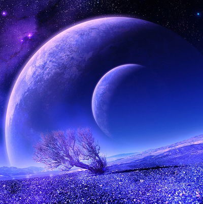 Алексей Полушкин