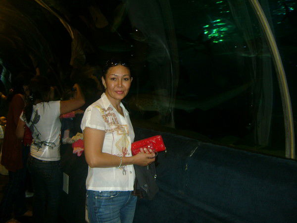 Магаш Макан