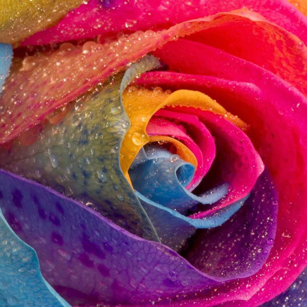 Мария Белова