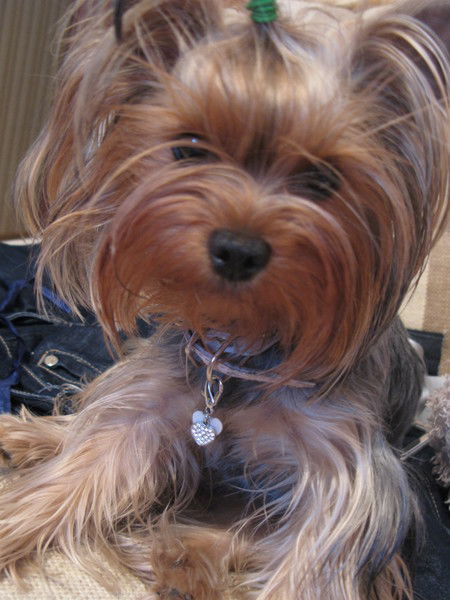 Диана Норикян