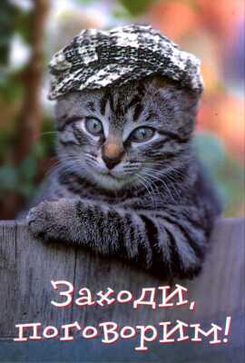 Владимир Кочуров