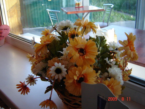 Раиса Степанова