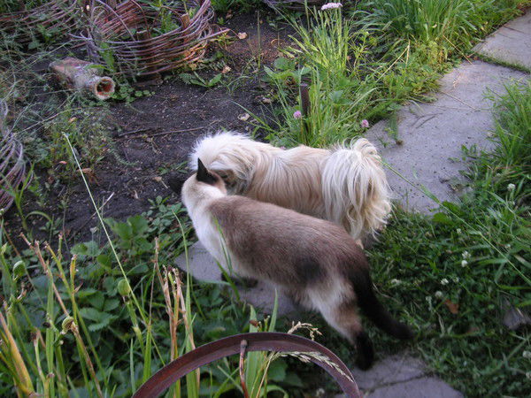 Людмила Васильева (Кужева)