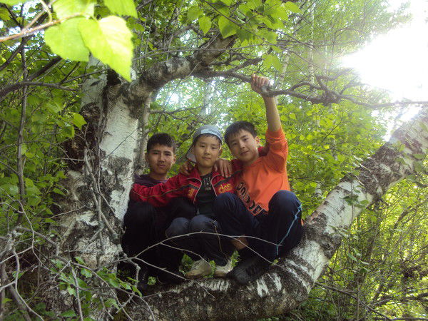 Назгуль Толобаева