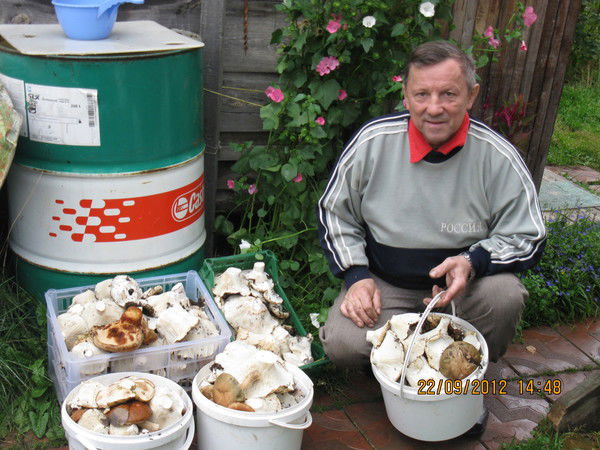 Владимир Лихачёв