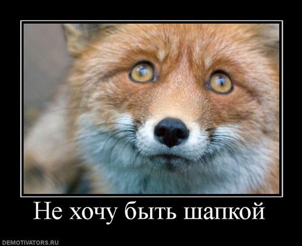 Мещеряков Дмитрий