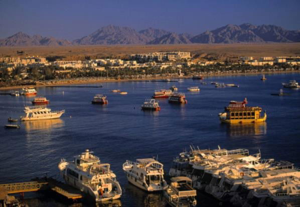 Елена Любимая